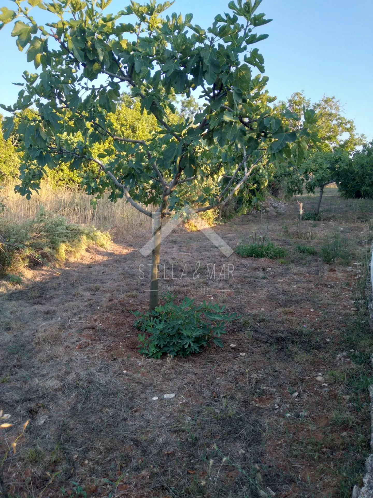 građevinsko zemljište 747m2 - zaton - slika 5