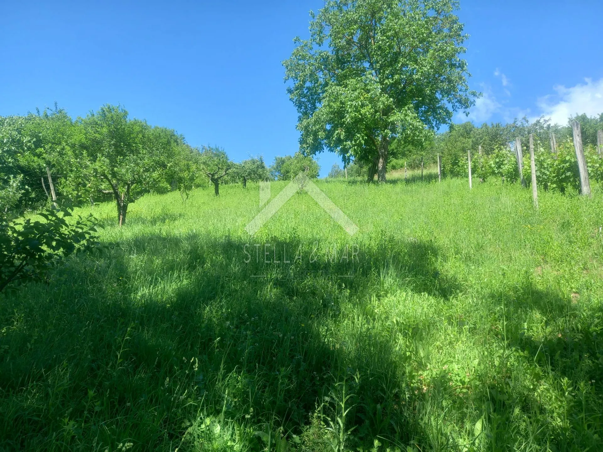 građevinsko zemljište - prekvršje - slika 9