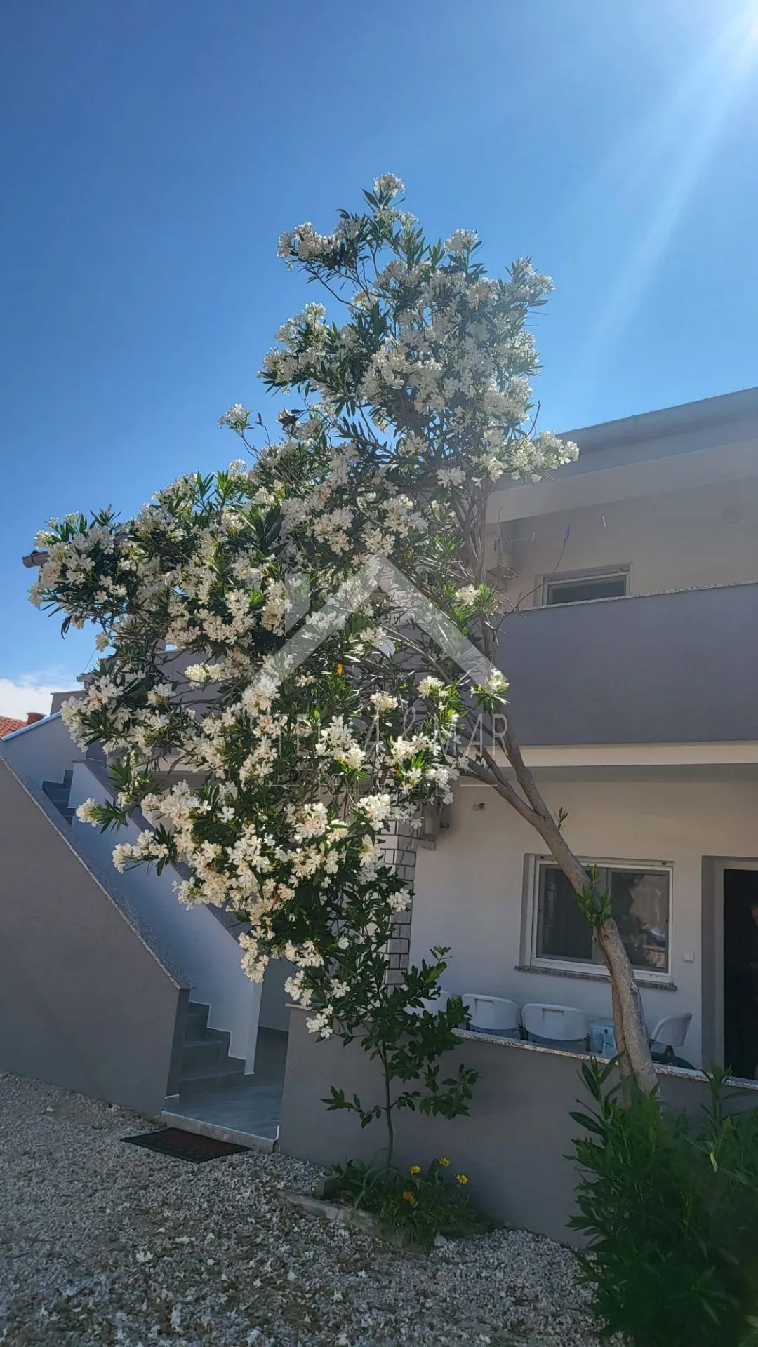 kuća sa 5 apartmana, 150m do mora - vir - slika 13