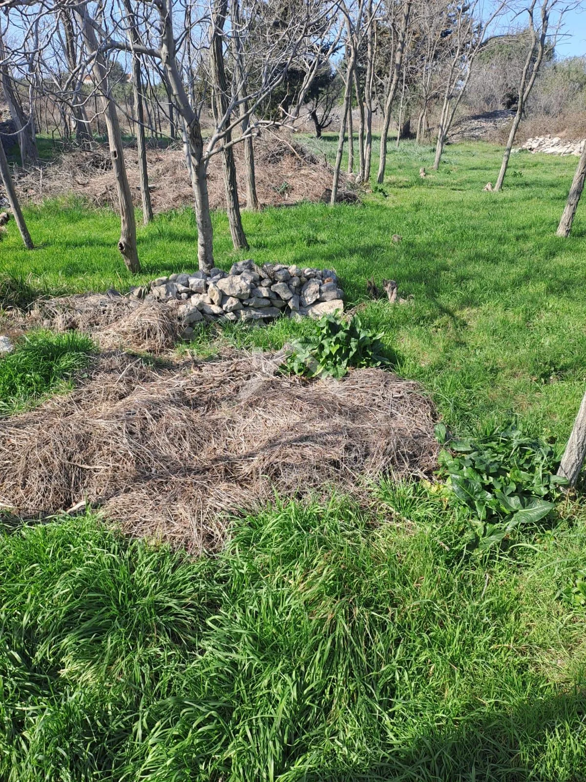 građevinsko zemljište 774m2 - vrsi, blizina centra - slika 4