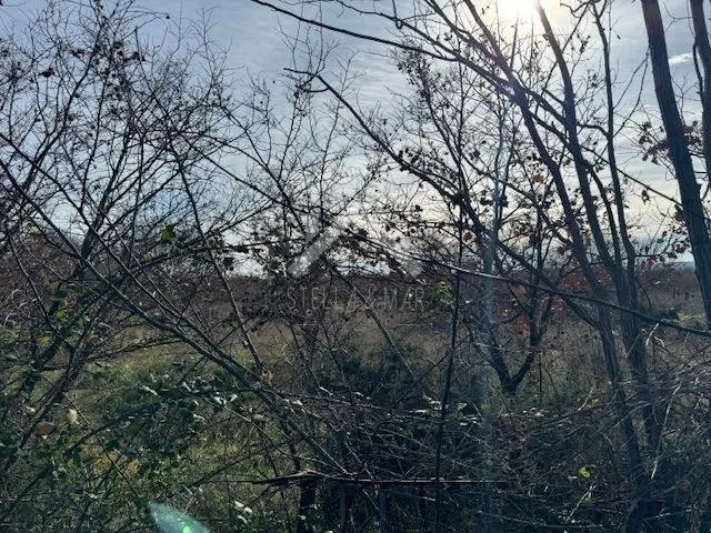 kuća u murvici sa velikom okućnicom - murvica - slika 14