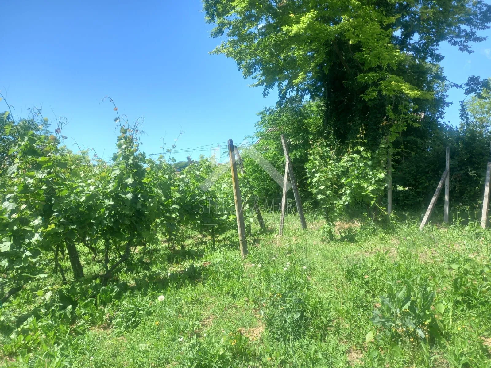 građevinsko zemljište - prekvršje - slika 11