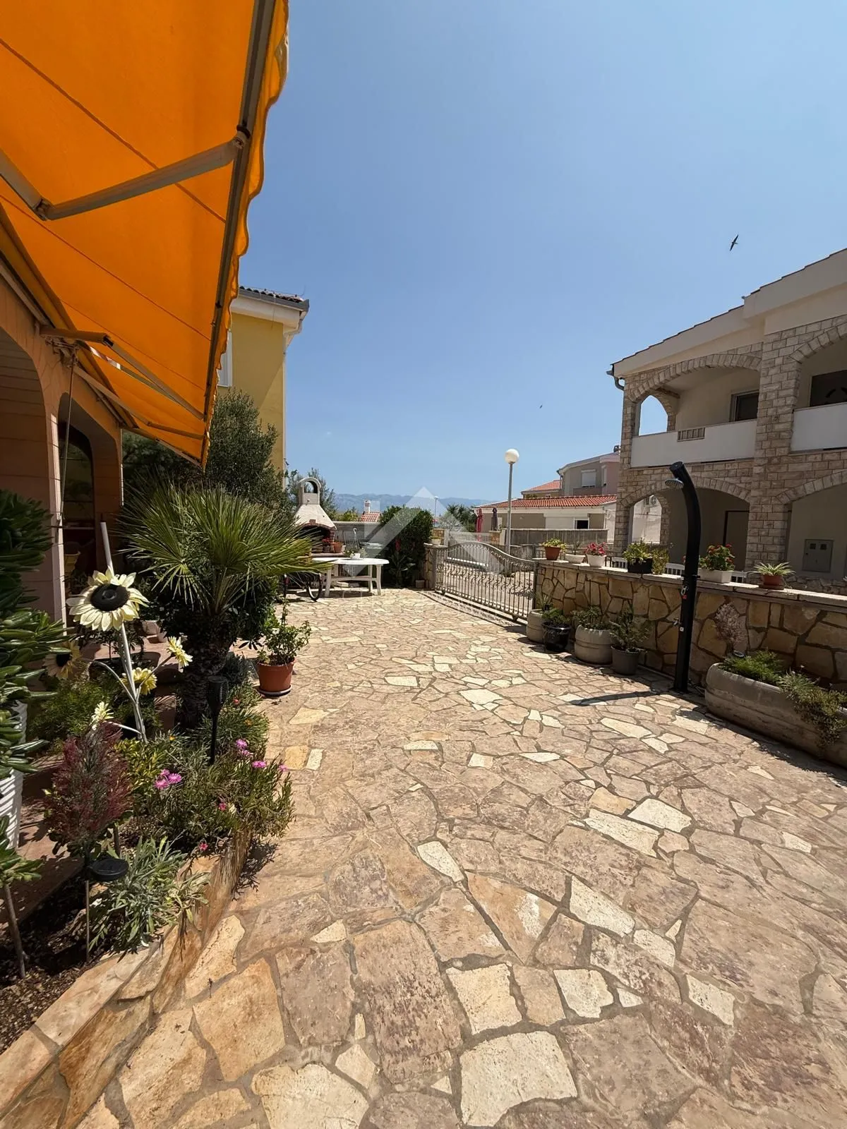 apartmanska kuća 20m do mora - vir - slika 3