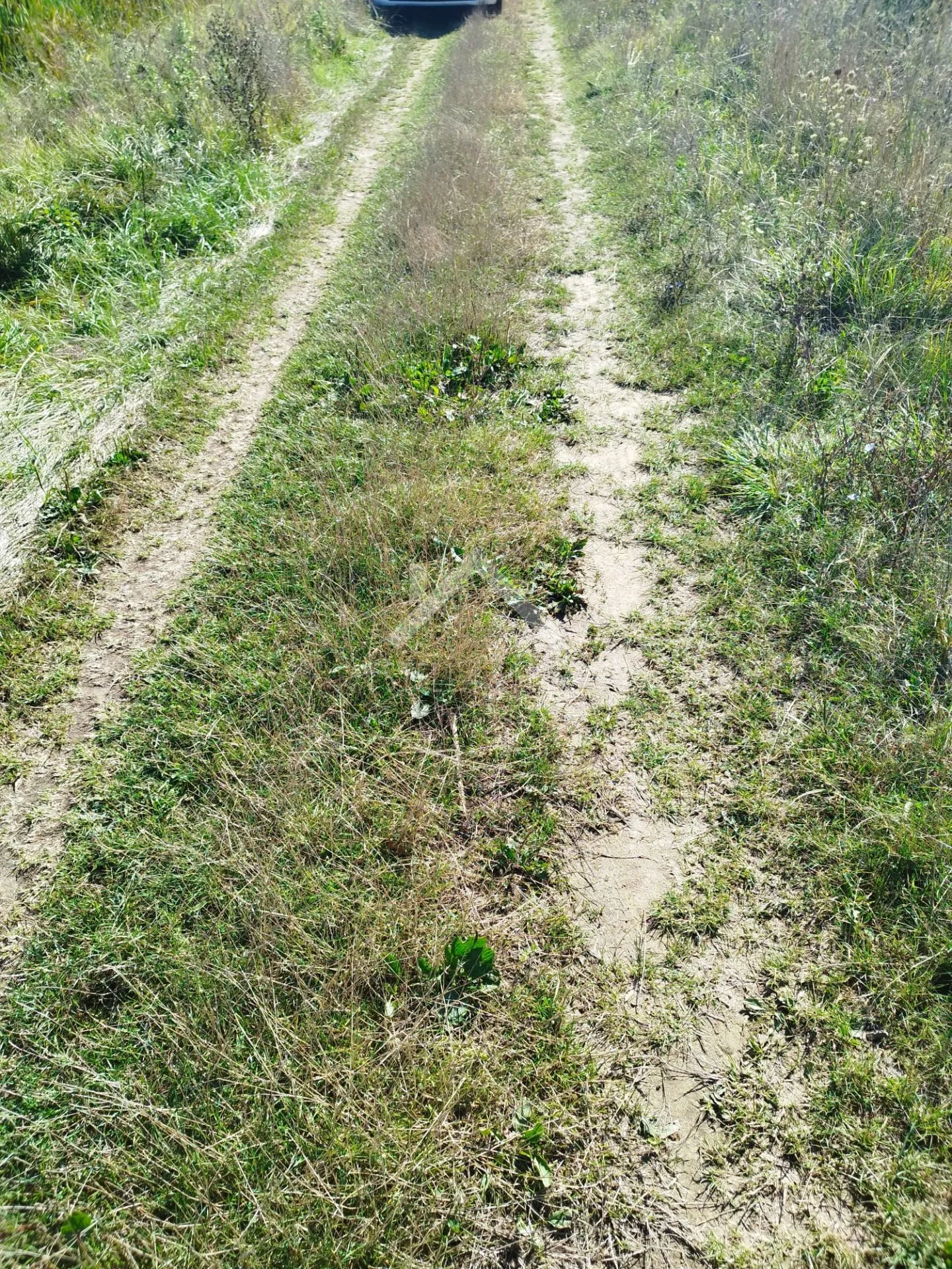 poljoprivredno zemljište - dugo selo - slika 8