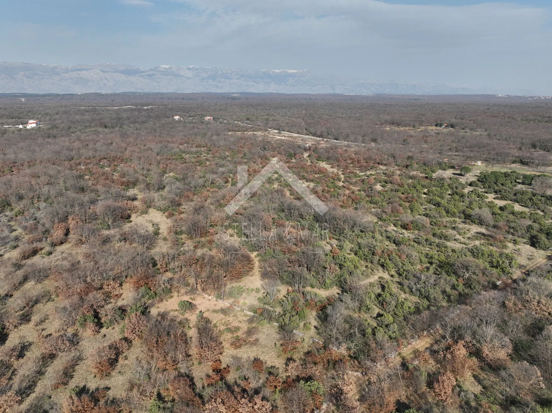 poljoprivredno zemljište 10000m2 - poljica brig, zadar - slika 3