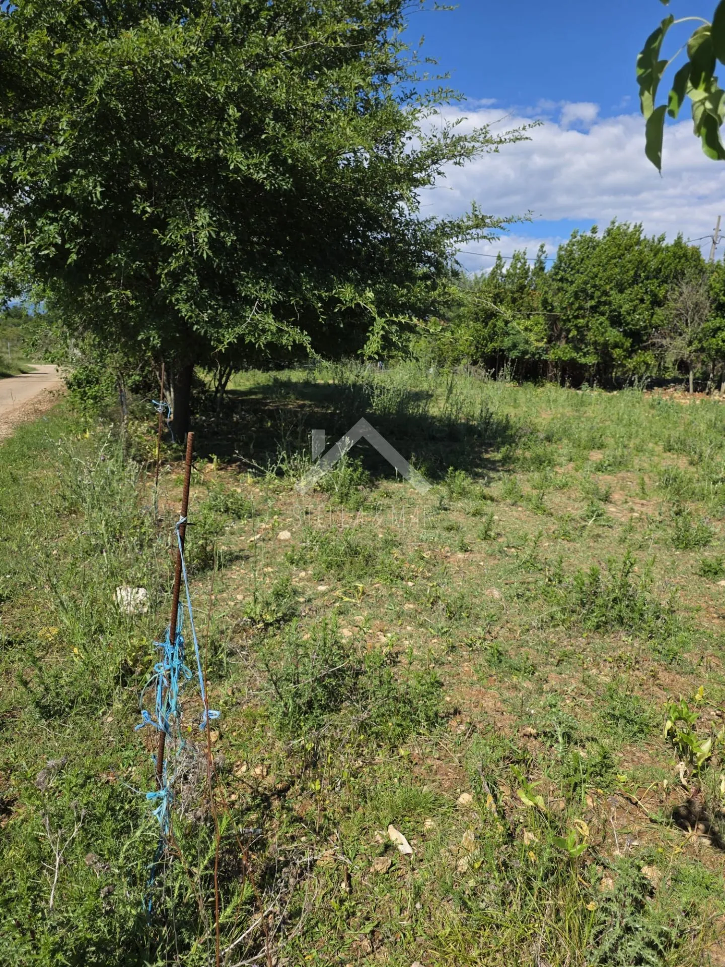 građevinsko zemljište - dračevac ninski - slika 4