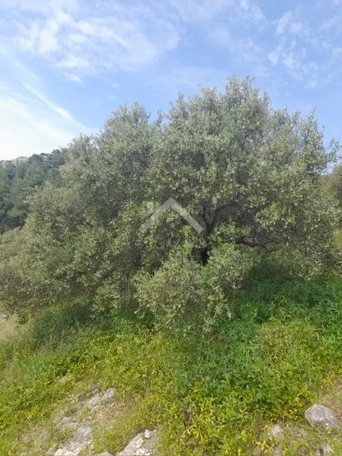 građevinsko zemljište -korčula - slika 4