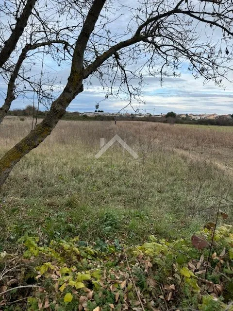 poljoprivredno zemljište - dračevac ninski - slika 2