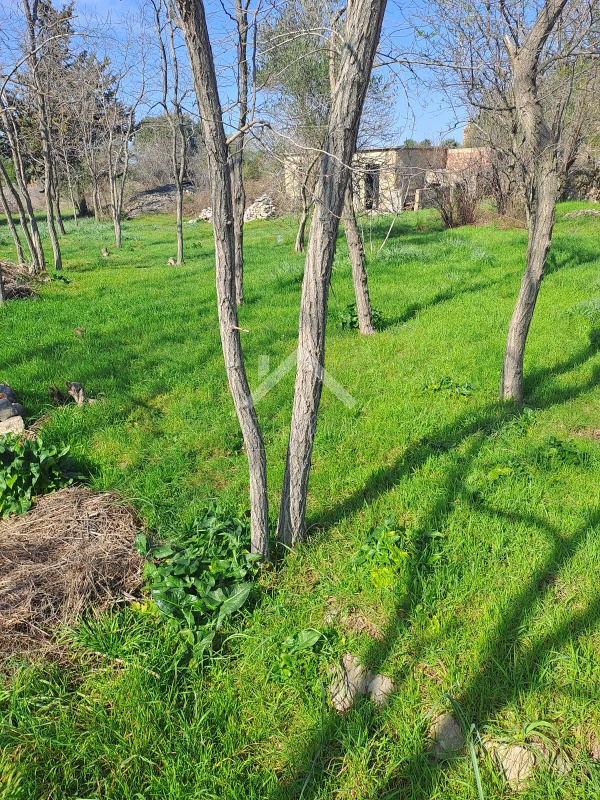 građevinsko zemljište 774m2 - vrsi, blizina centra - slika 3