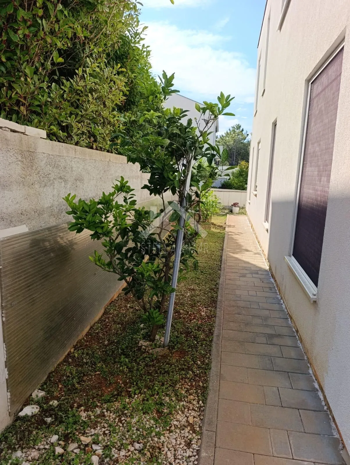 kuća sa 4 apartmana i bazenom - vir - slika 14
