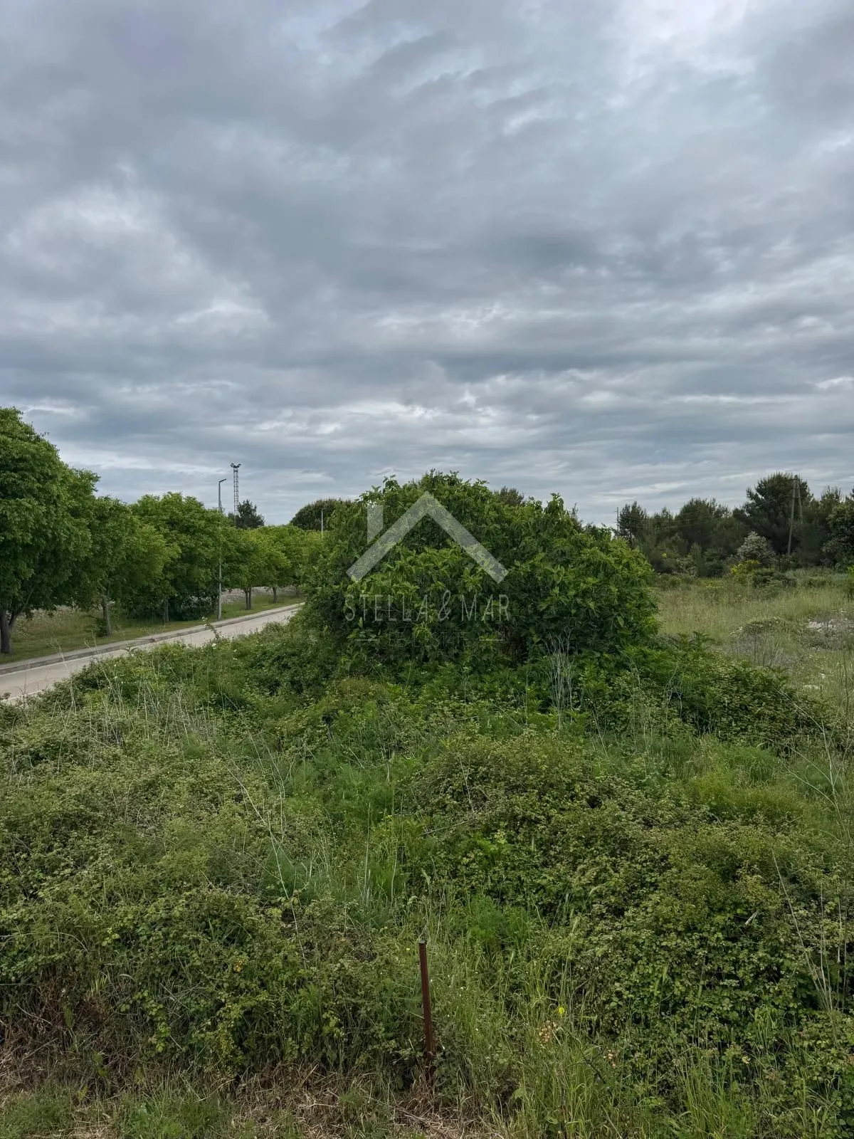 građevinsko zemljište , pogled na more - zadar - slika 5