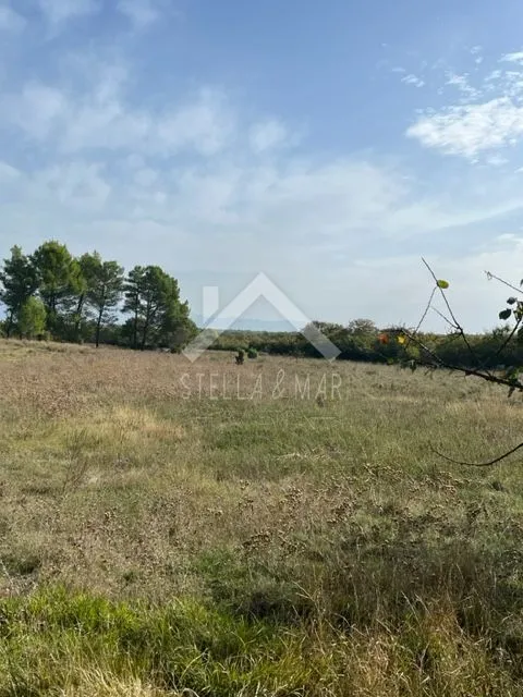 Poljoprivredno zemljište -- Poljica brig - Poljica, Vrsi
