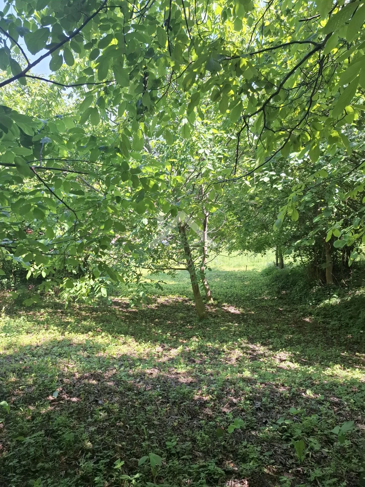 poljoprivredno zemljište - kašina - slika 2