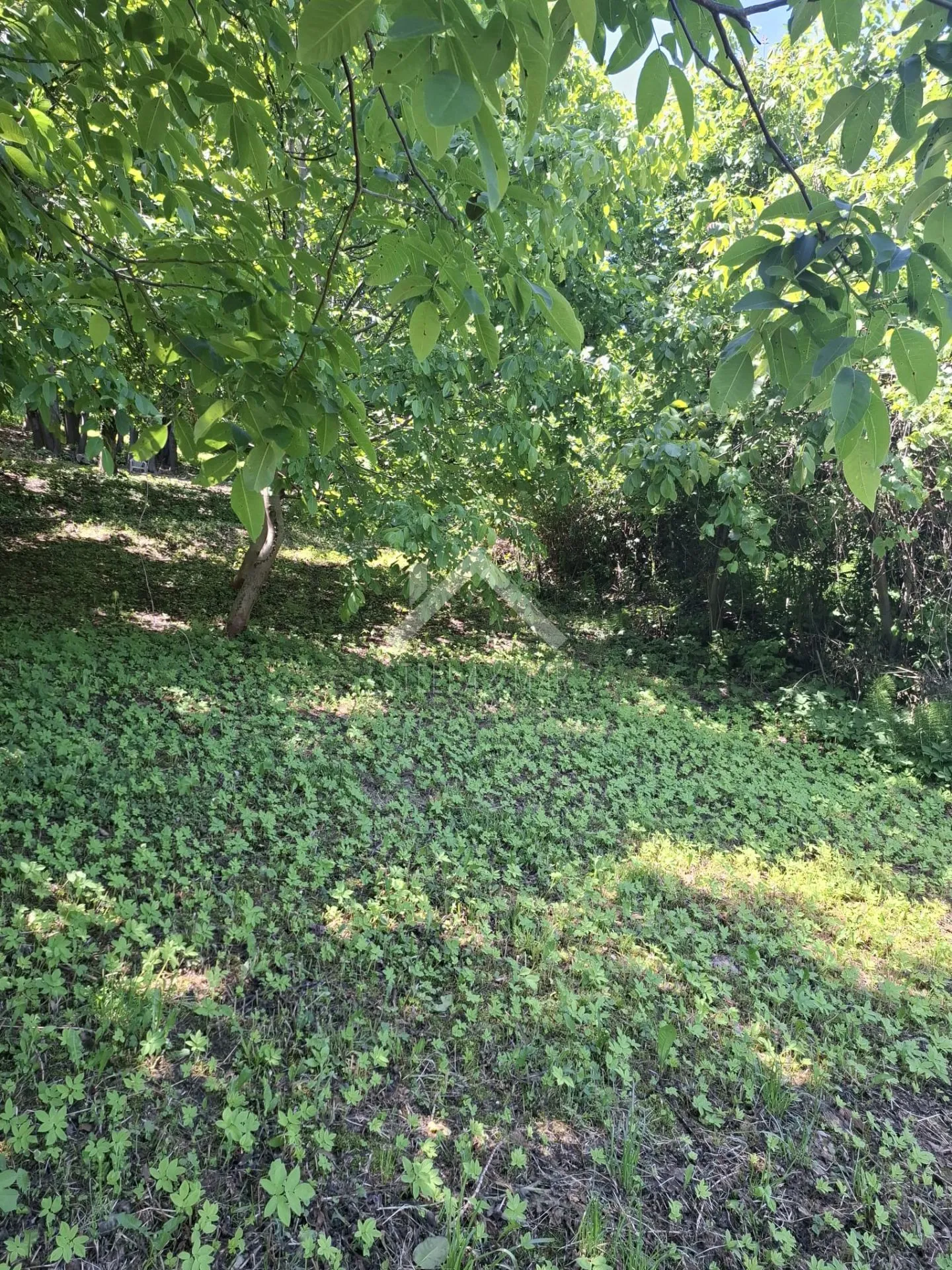 poljoprivredno zemljište - kašina - slika 3