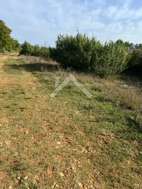 poljoprivredno zemljište -- poljica brig - slika 4