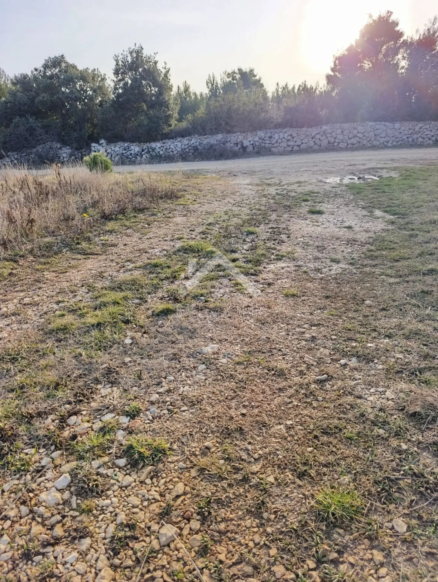 poljoprivredno zemljište 600m2 - vir - slika 4