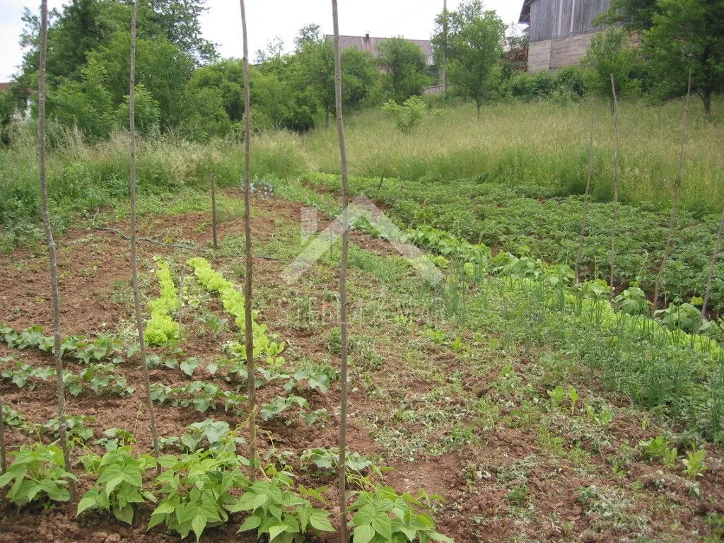 veliko imanje sa starom kućom - otočac - slika 17