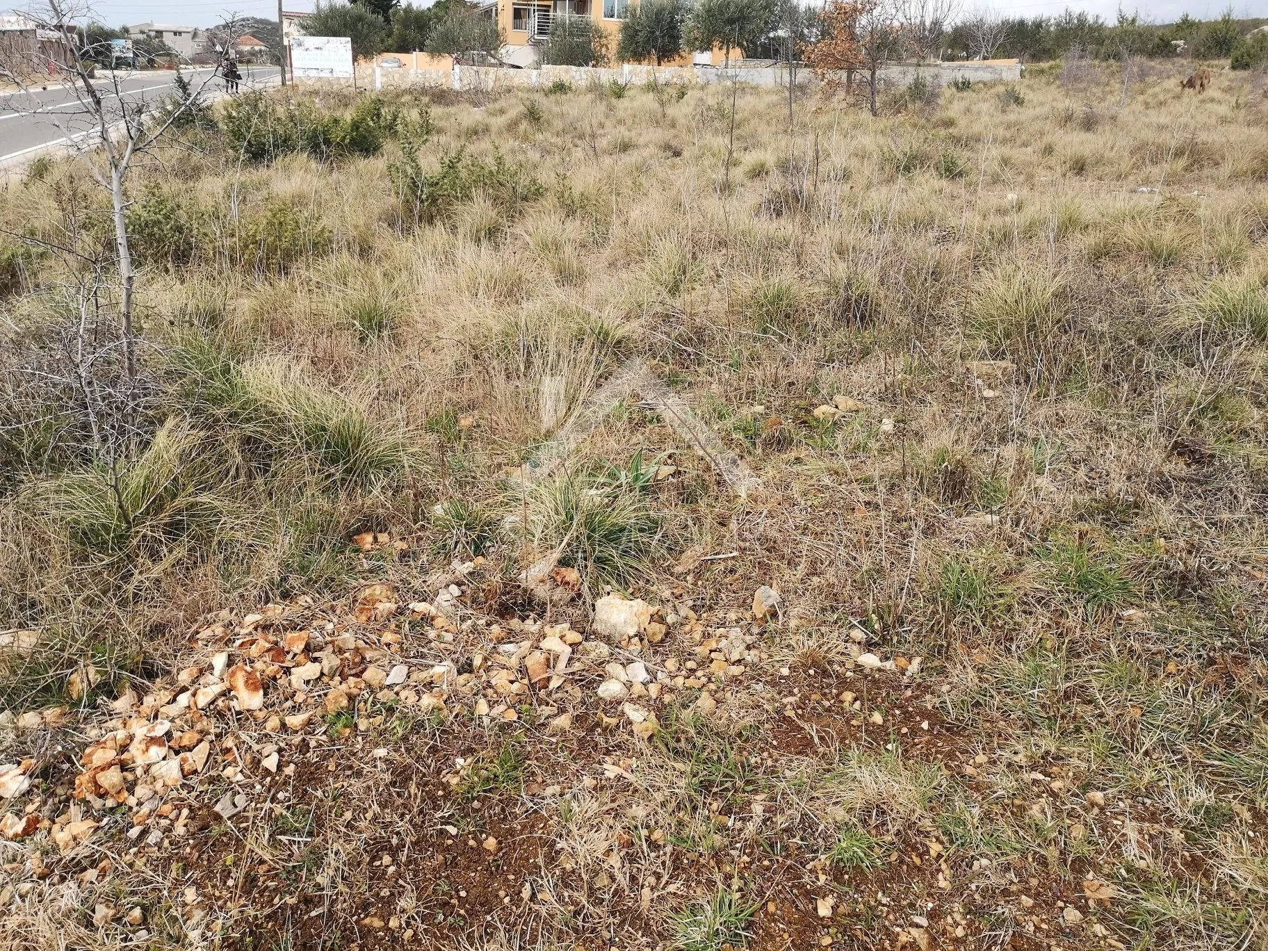 građevinsko zemljište 1500 m2 - slivnica donja - slika 4