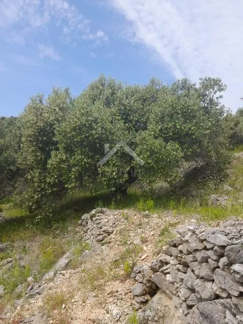 građevinsko zemljište -korčula - slika 6