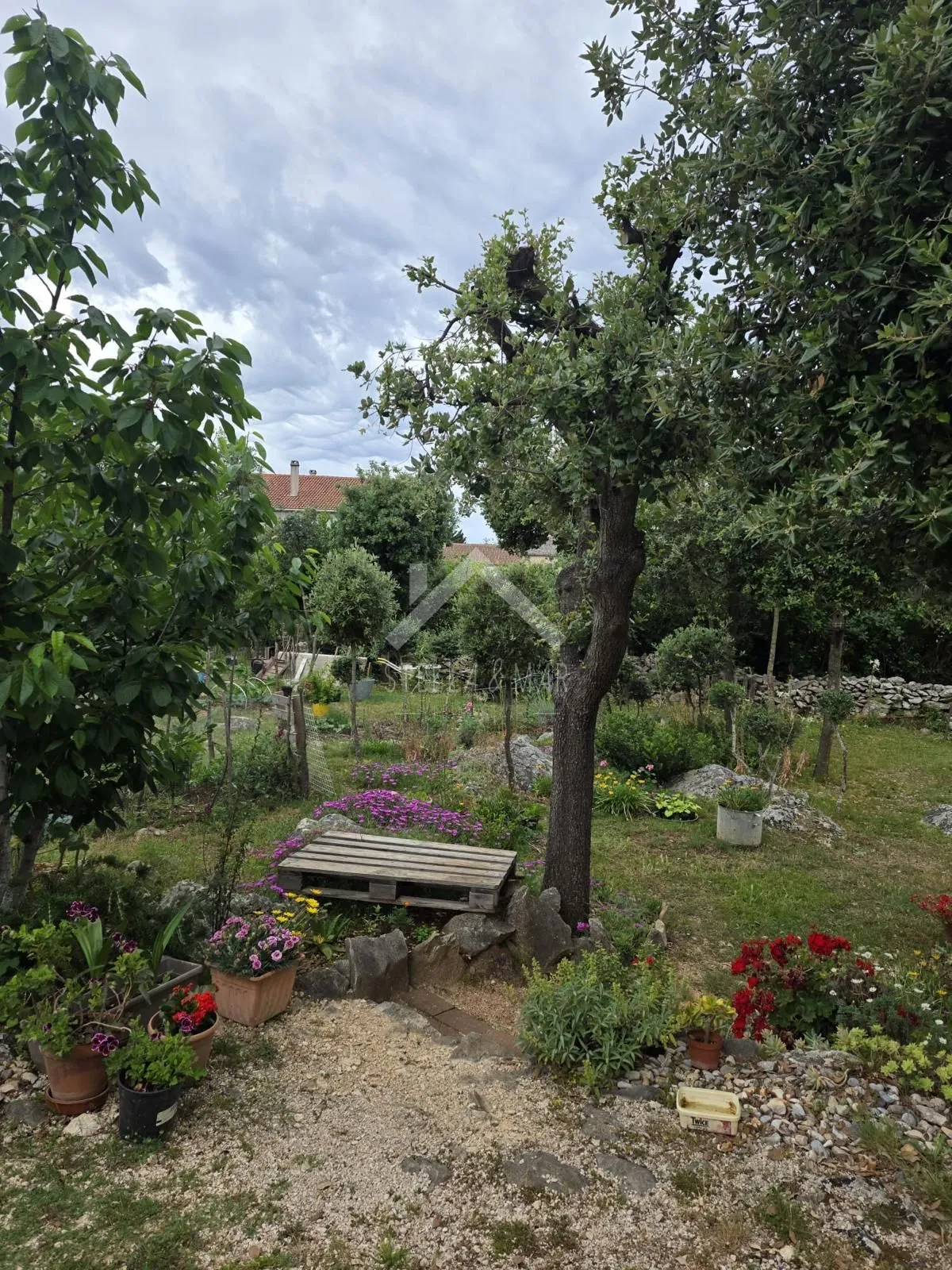 građevinsko zemljište - petrčane - slika 3