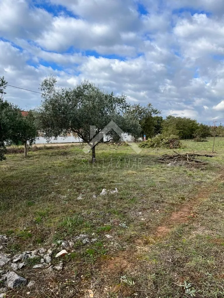 građevinsko zemljište 5046m2 - murvica - slika 4