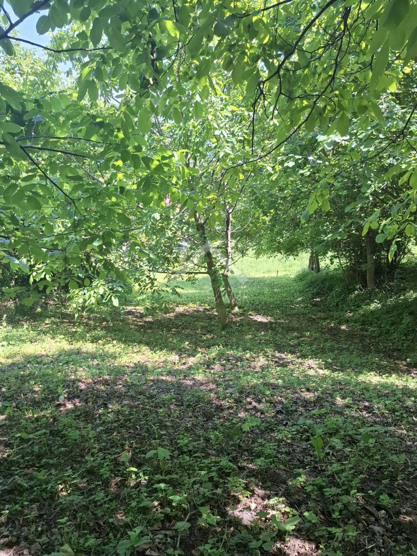 poljoprivredno zemljište - kašina - slika 5