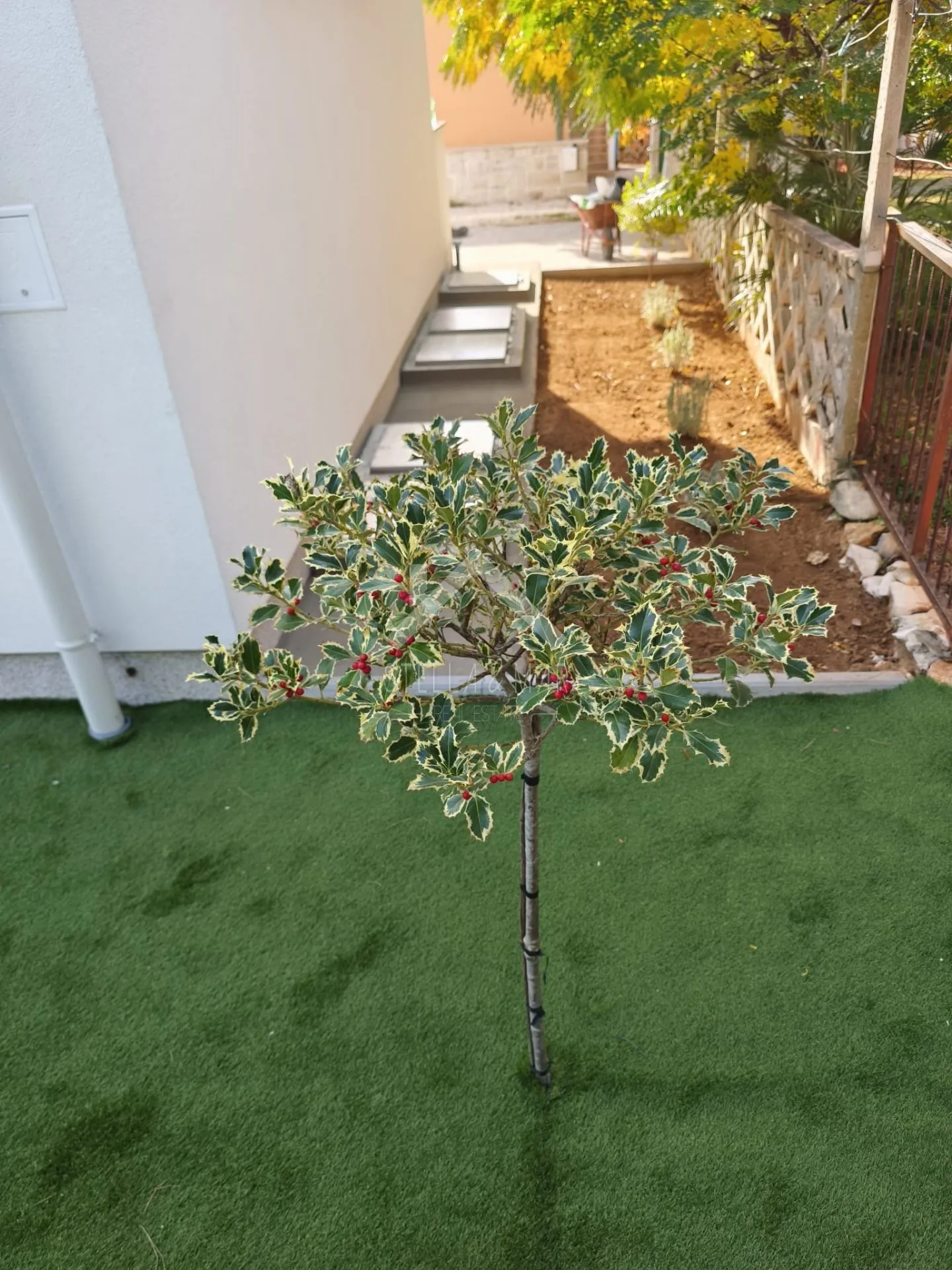 dvosoban apartman sa pogledom na more - vir - slika 17