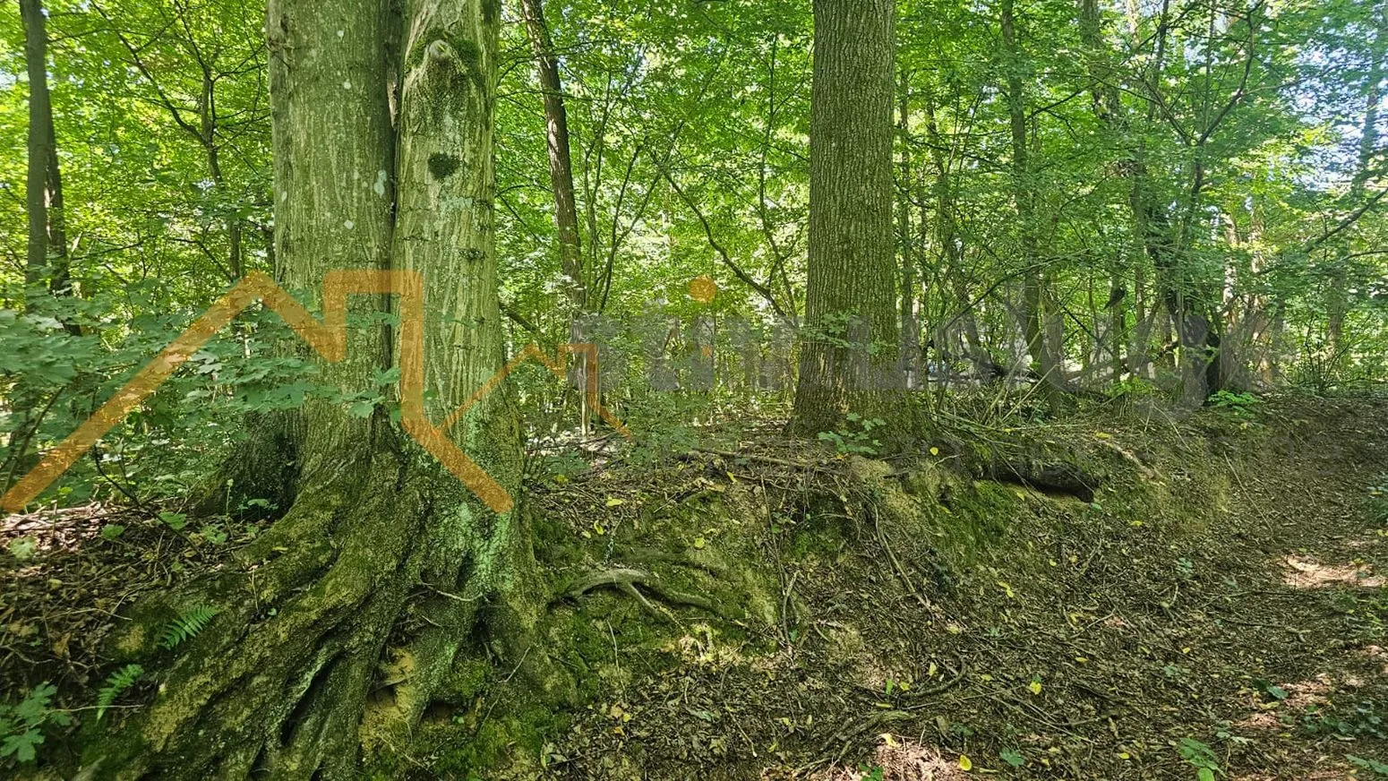 poljoprivredno zemljišta, hrebinec, pustika - slika 2
