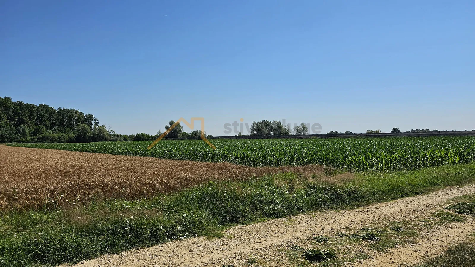 leprovica, dugo selo, poljoprivredno zemljište 10.401 m² - slika 2