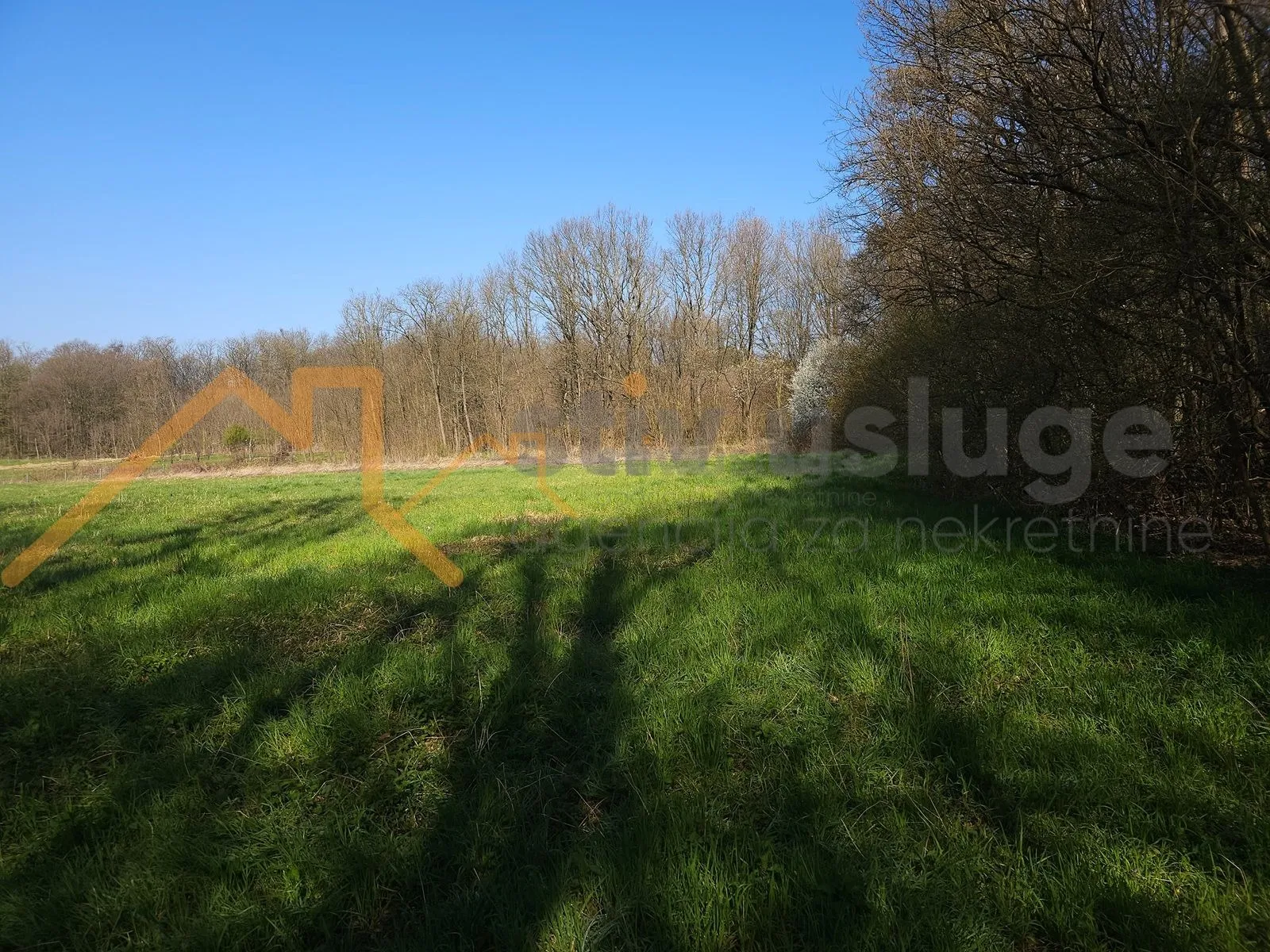 poljoprivredno zemljište, hrebinec, pustika - slika 3