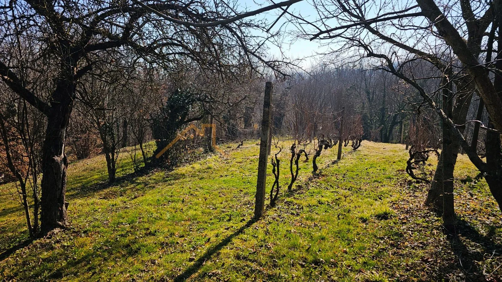 vinograd sa klijeti, štakorovec, meašićev breg, 40 m 2 - slika 9