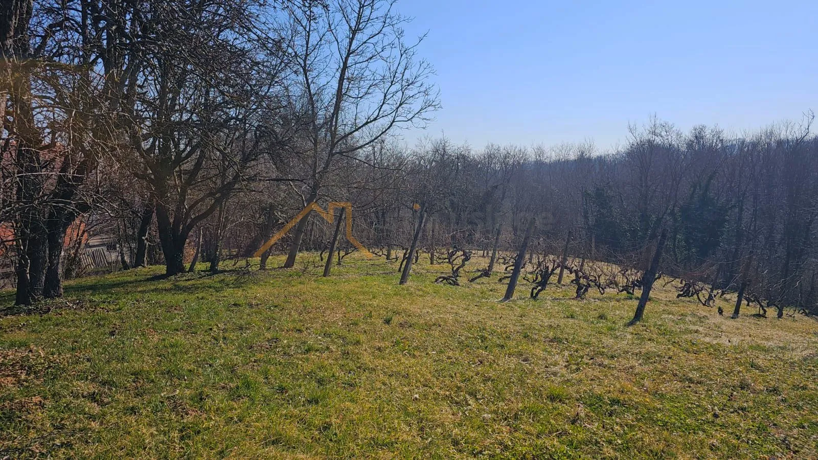 vinograd sa klijeti, štakorovec, meašićev breg, 40 m 2 - slika 10