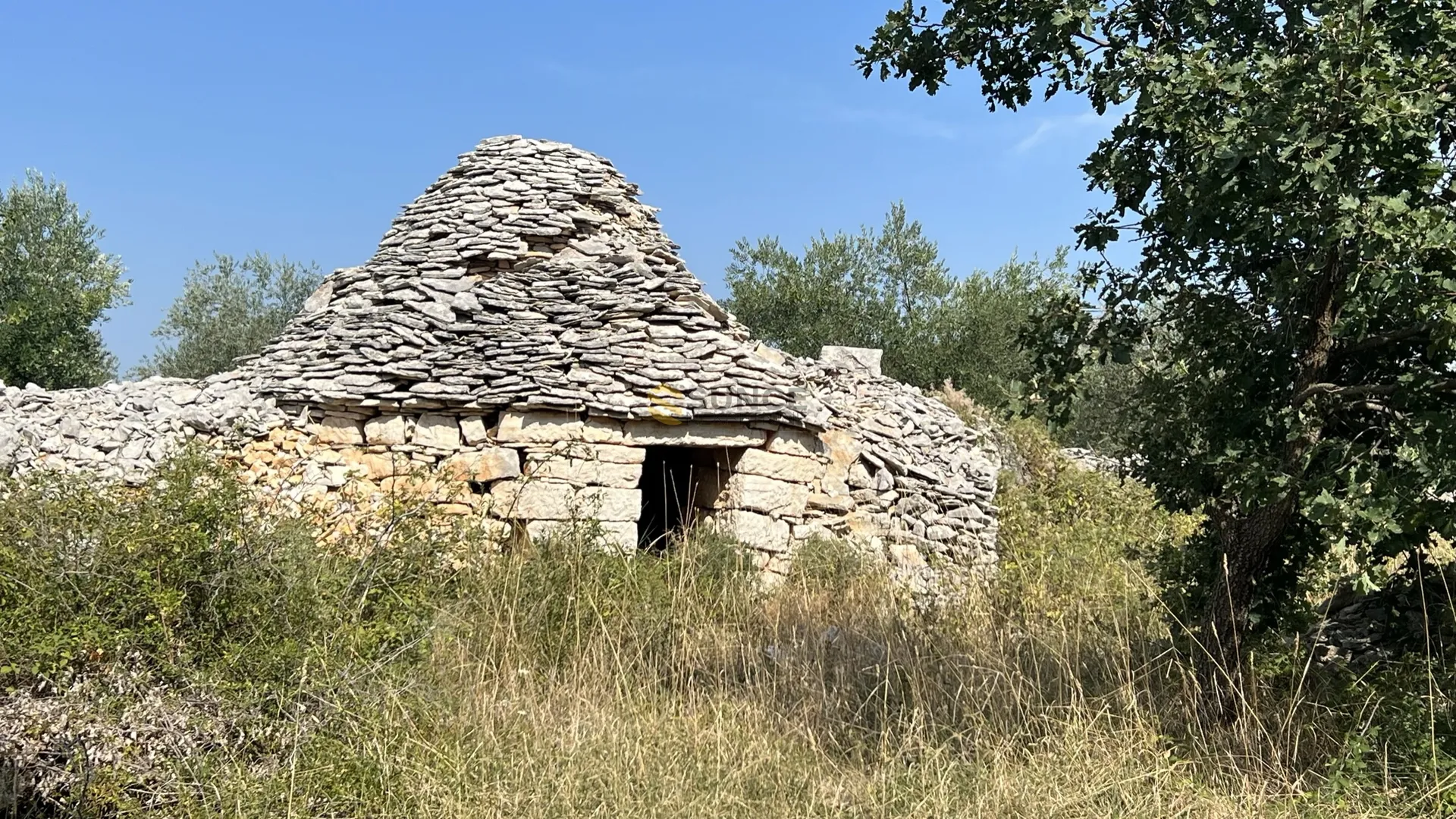 istra, majmajola, prodaje se maslinik s 220 maslina i 480m2 terena u građevinskoj zoni s ucrtanim objektom! - slika 2