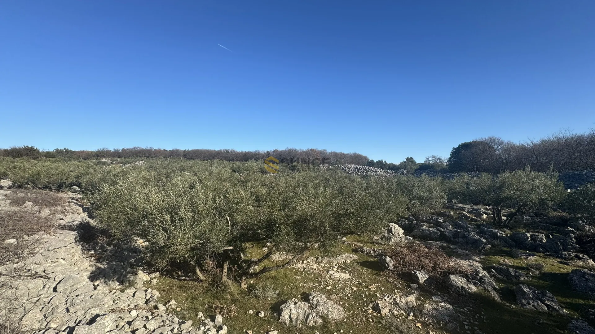 grad krk okolica, uređen maslinik sa pogledom na more! - slika 2
