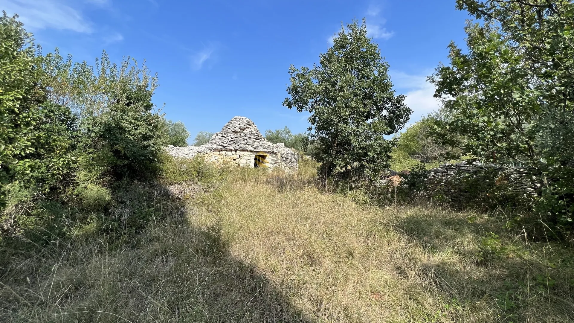 Istra, Majmajola, prodaje se maslinik s 220 maslina i 480m2 terena u građevinskoj zoni s ucrtanim objektom! - Stancija Majmajola, Vodnjan