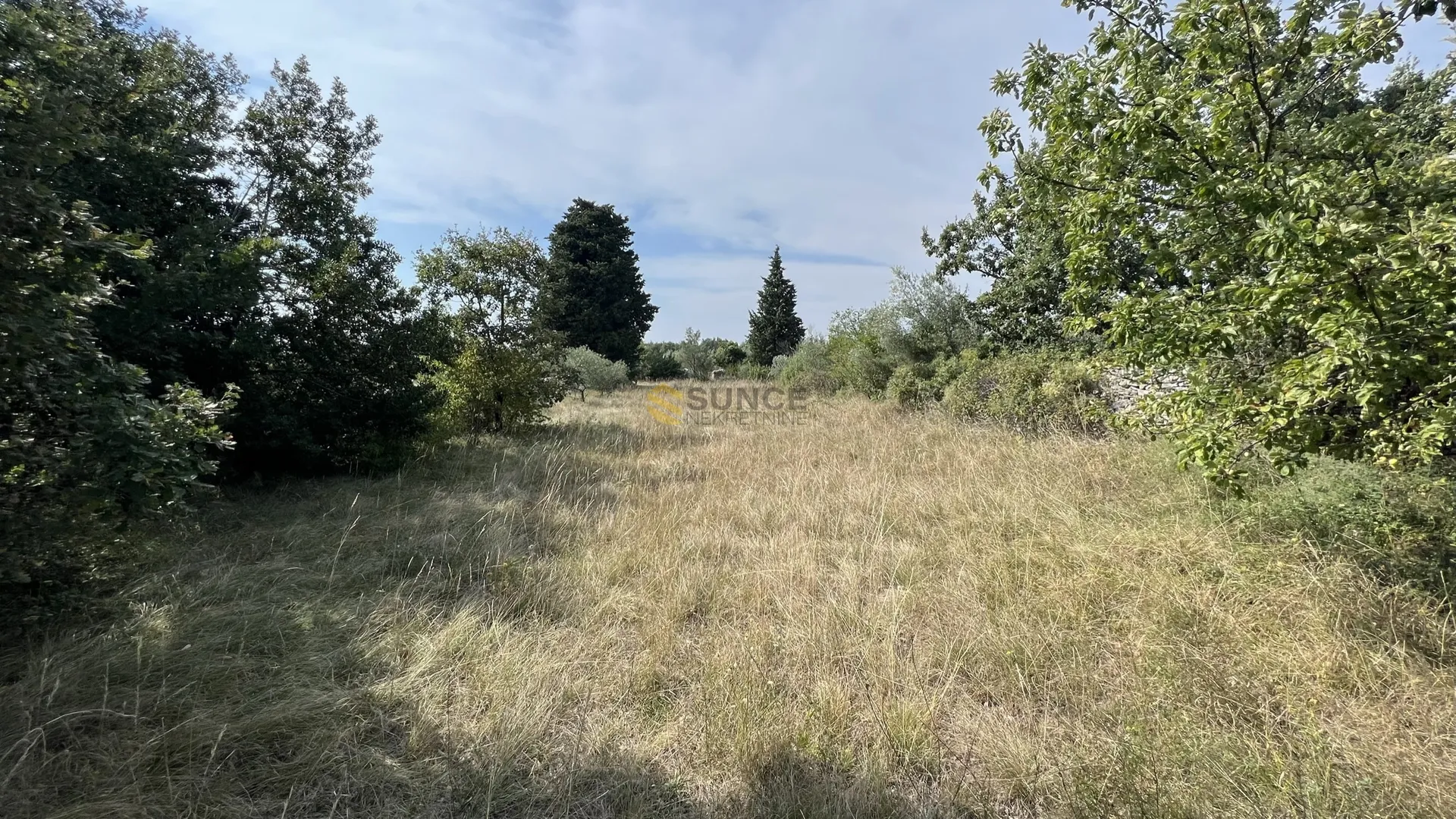 istra, majmajola, prodaje se maslinik s 220 maslina i 480m2 terena u građevinskoj zoni s ucrtanim objektom! - slika 3