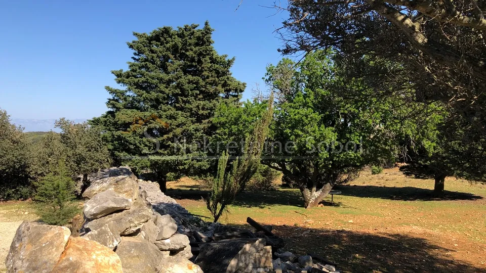 punta križa, otok cres - zemljište, 76133 m2 prodaja - slika 8