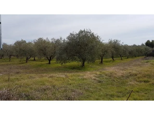 tar-građevinsko zemljište na prodaji pogled more - slika 4