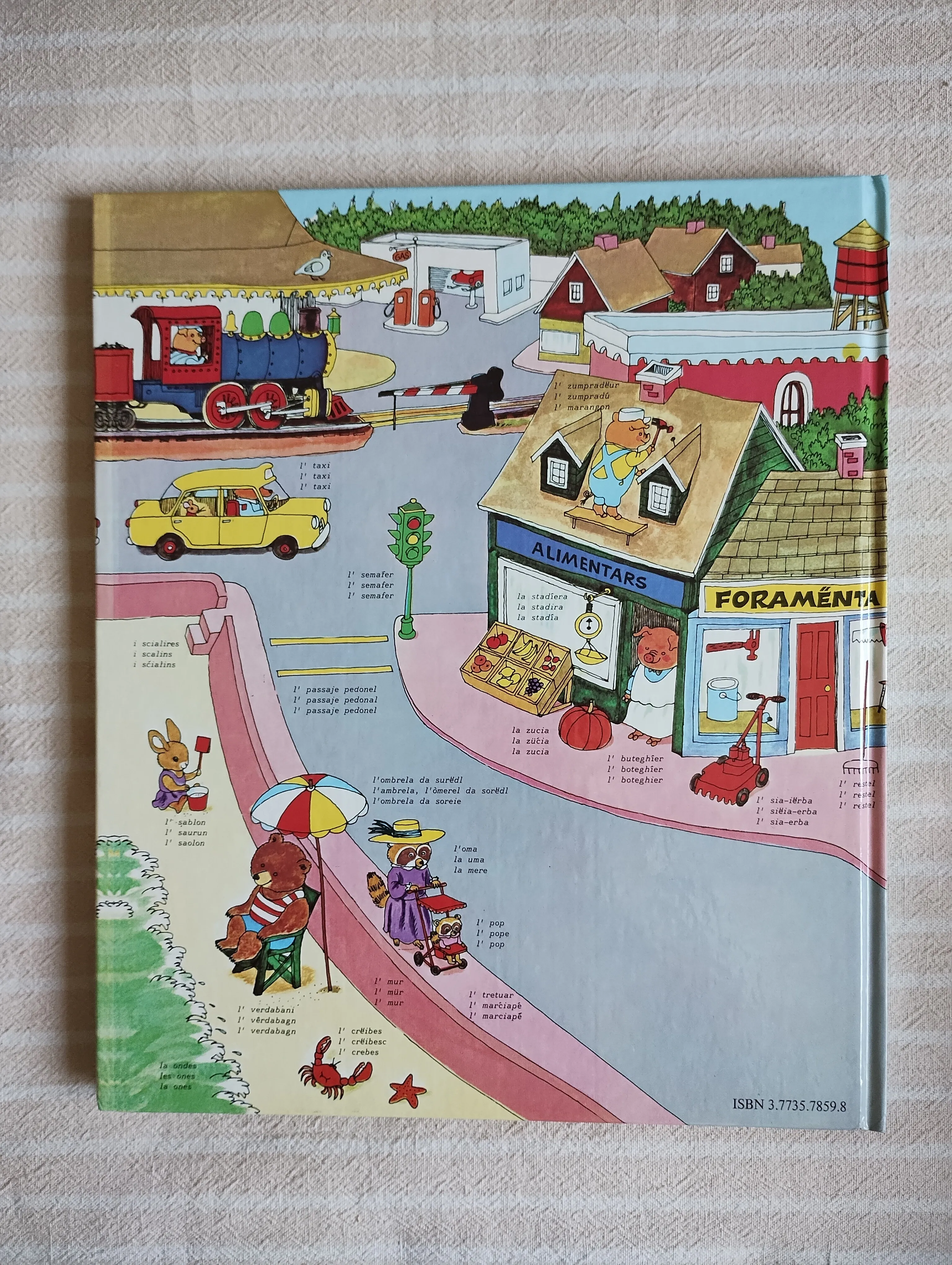 r. scarry dizionar ladin dolomitan dictionary rjecnik slikovni - slika 2