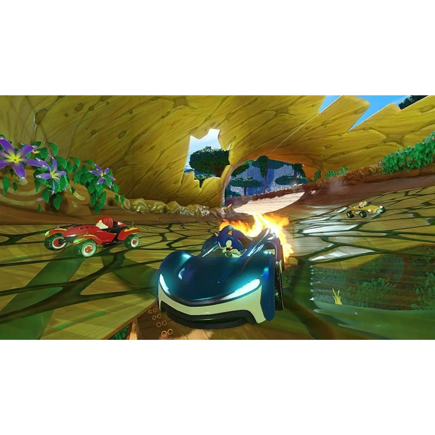 team sonic racing ns - slika 4