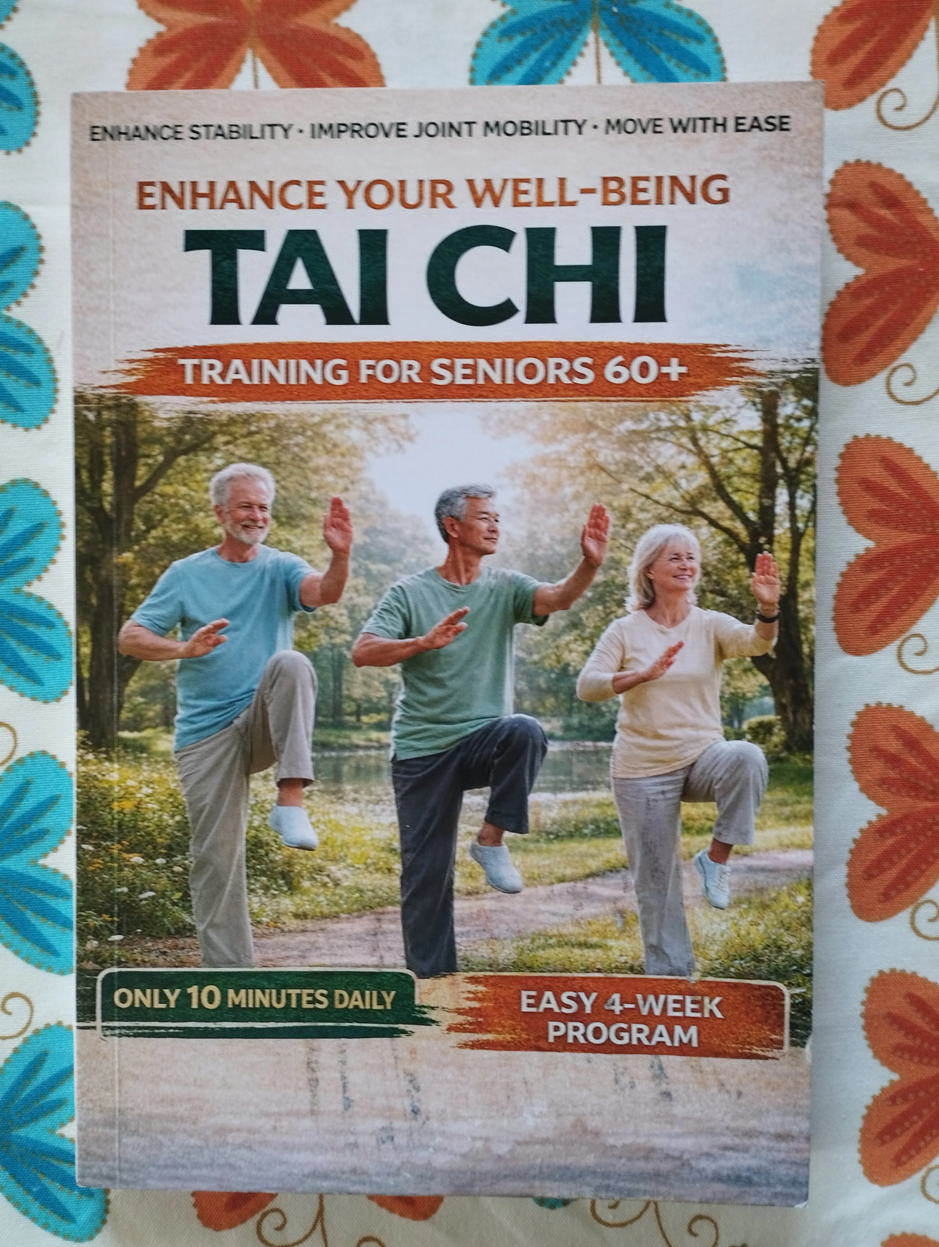 Tai Chi, training for the seniors - Samobor