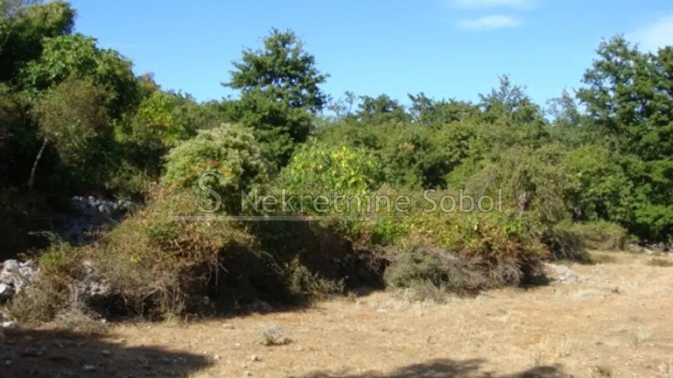 cres, beli - poljoprivredno, 93186 m2 prodaja - slika 8