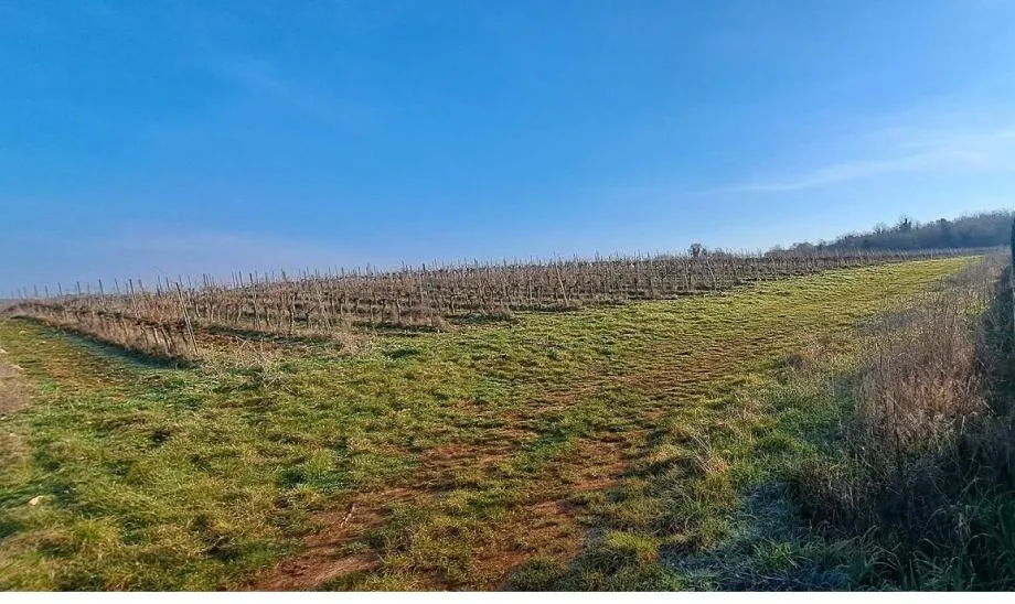 poreč- zemljište na prodaju - slika 2