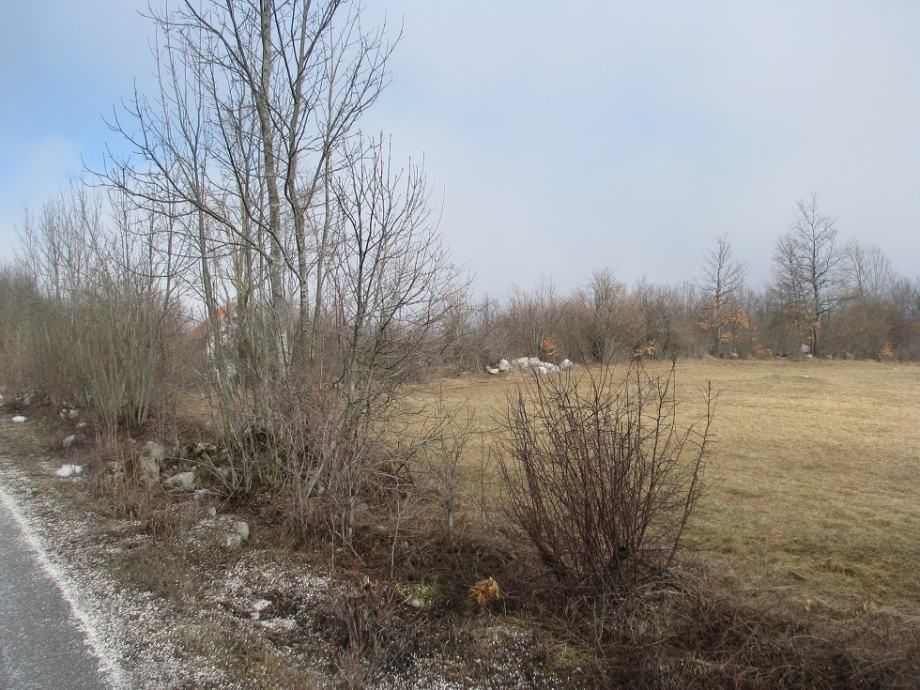 zemljište: lovinac, 42.343 m2, građevinsko, poljoprivredno - slika 7