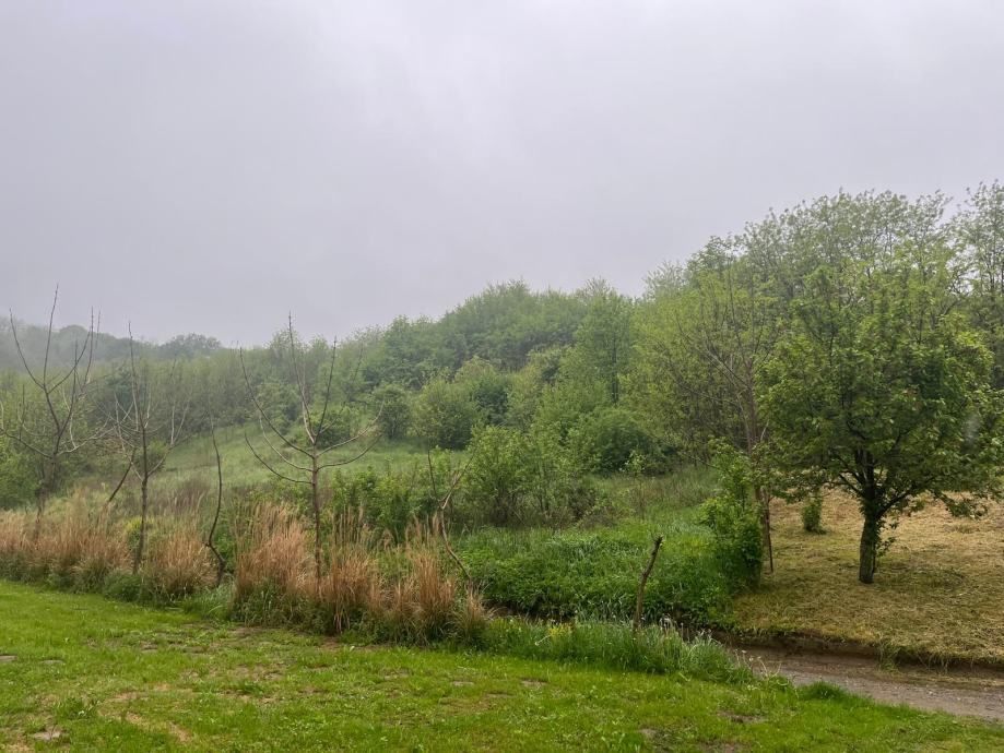 građevinska i poljoprivredna zemljišta, sv.đurađ, virovitica, 20268 m2 - slika 3