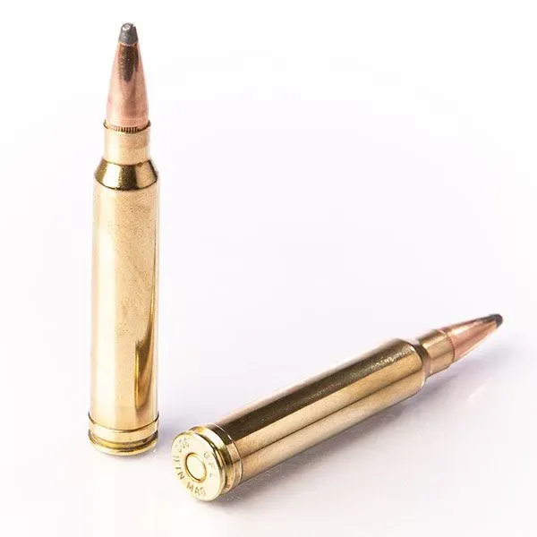 Karabinsko streljivo FIOCCHI .300 Win.Mag. SP 11,7g / 180gr - Poreč