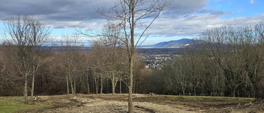 krčenje , malčiranje - uređenje šikara i jako zaraslih parcela - slika 3