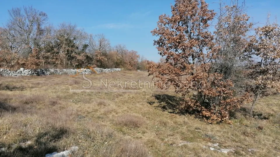 višnjan, zoričići - zemljište, 62710 m2 prodaja - slika 4