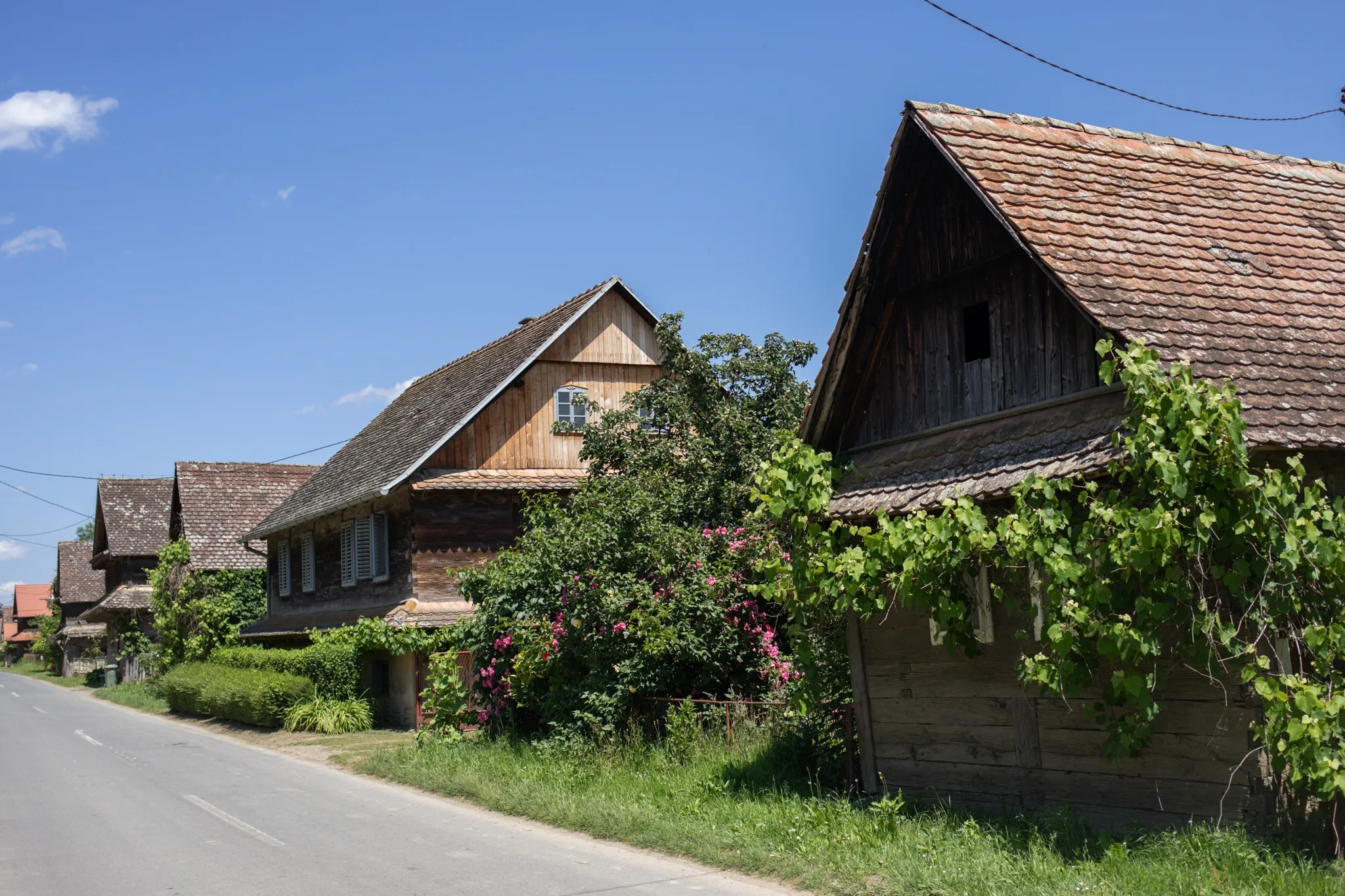 panoramska vožnja vlakićem kroz krapje - selo graditeljske baštine - slika 4