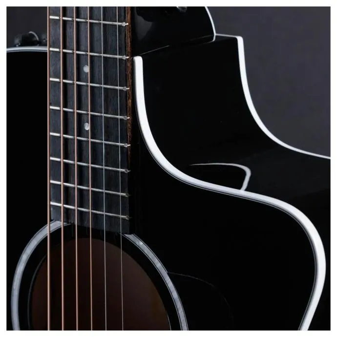 taylor 214ce-blk plus - slika 3